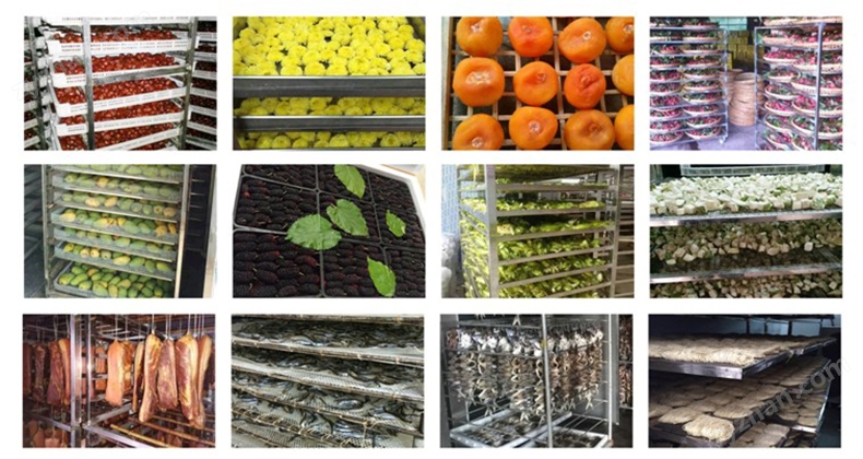 这个项目成功入选全省典型案例！